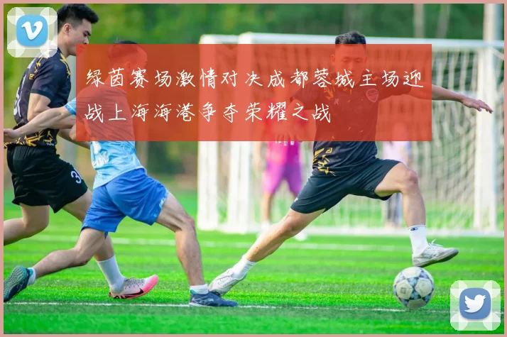 绿茵赛场激情对决成都蓉城主场迎战上海海港争夺荣耀之战